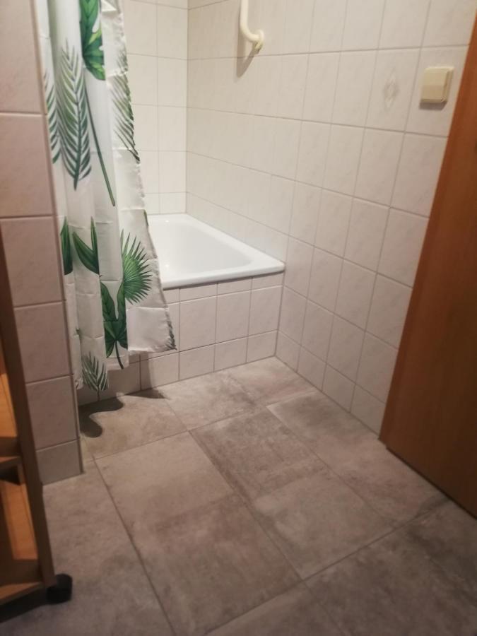 Haemmerle Fewo Holiday Apartment - Green 康斯坦茨 外观 照片