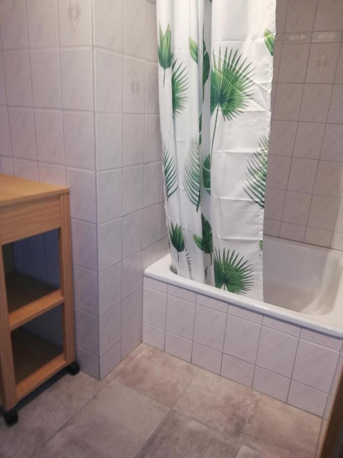 Haemmerle Fewo Holiday Apartment - Green 康斯坦茨 外观 照片