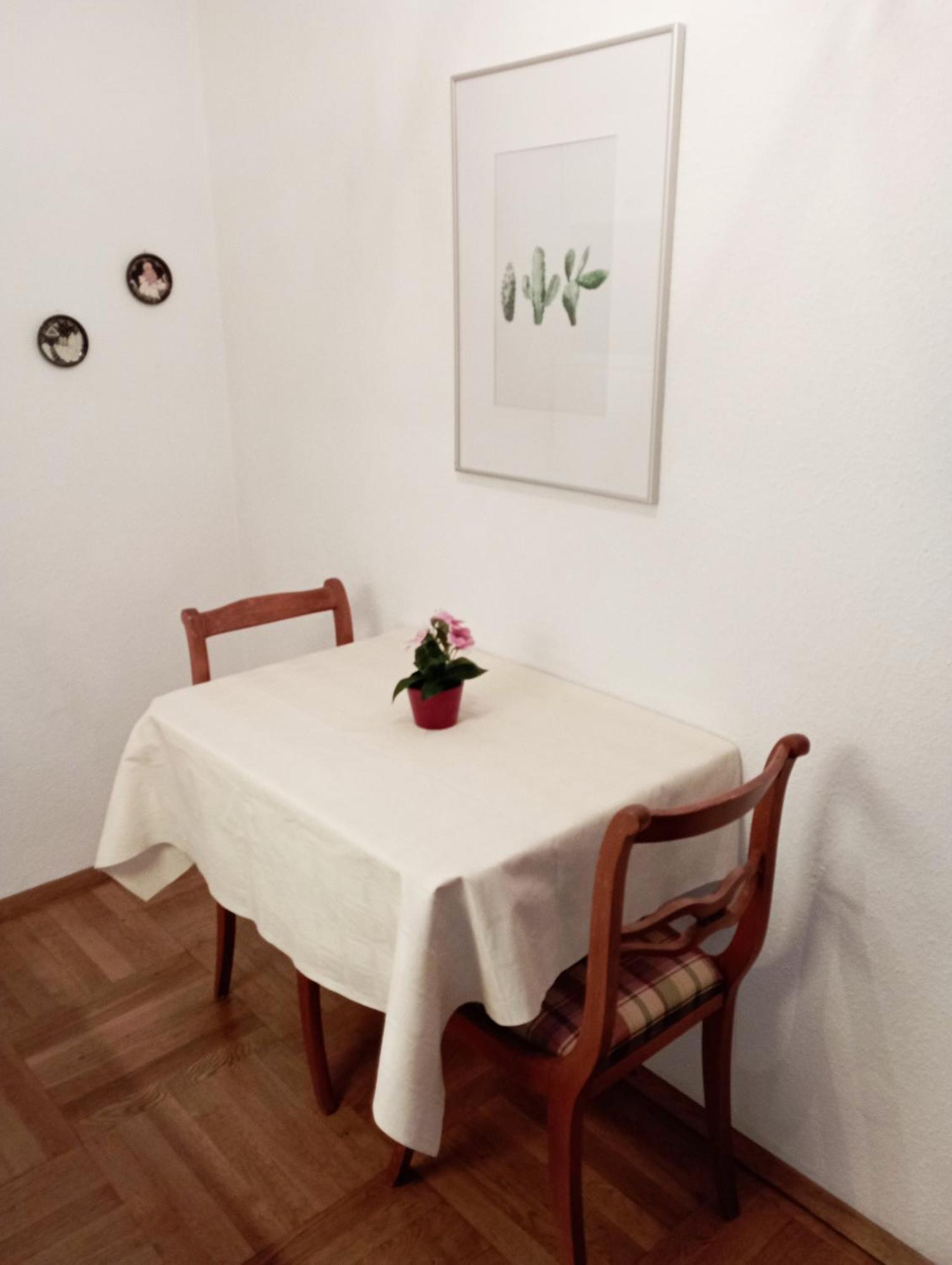 Haemmerle Fewo Holiday Apartment - Green 康斯坦茨 外观 照片